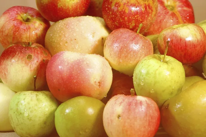 Framed Print : Apples - Various Sorts Print