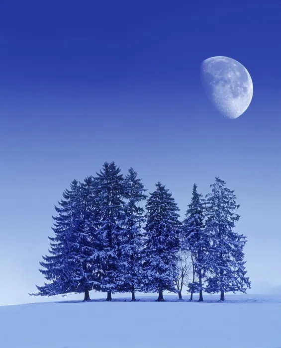 Framed Print : Digital Composing Print - Winter Landscape, Bavaria Framed Print : Digital Composing Print - Winter Landscape, Bavaria