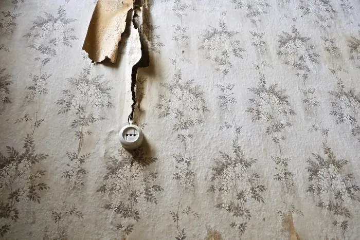 Framed Print : Floral Patterned Wall Print with Old Electrical Socket Framed Print : Floral Patterned Wall Print with Old Electrical Socket