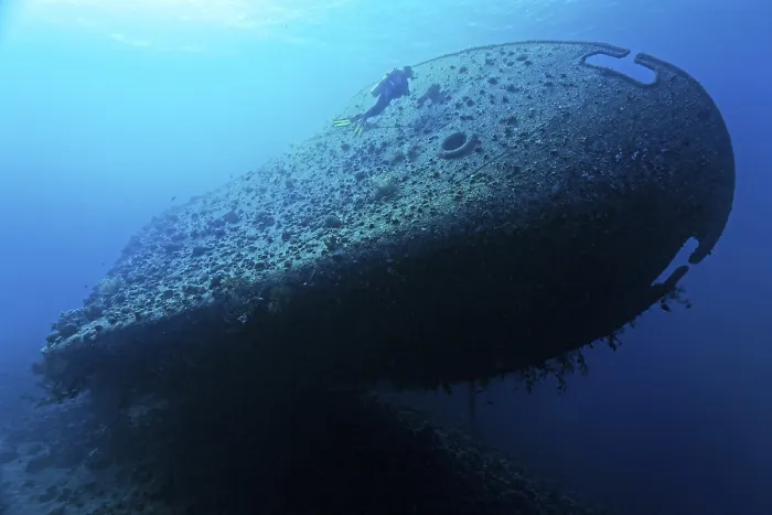 Framed Print : Diver at the bow of the Cedar Pride Print, Red Sea Shipwreck