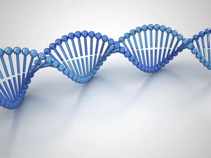 Framed Print : DNA Molecular Structure Print Framed Print : DNA Molecular Structure Print