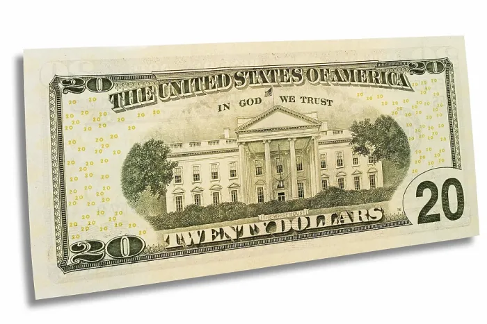 Framed Print : Twenty Dollar Bill Print - Back Side Image Framed Print : Twenty Dollar Bill Print - Back Side Image