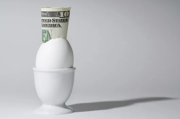 Framed Print : The Ten Dollar in the Egg Print Framed Print : The Ten Dollar in the Egg Print