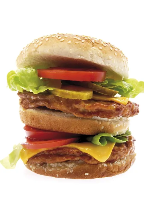 Framed Print : Double Cheeseburger with Lettuce Print Framed Print : Double Cheeseburger with Lettuce Print