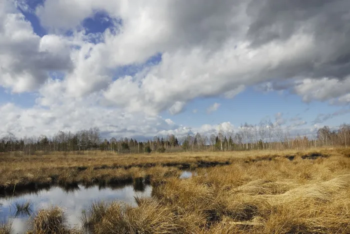 Framed Print : Dramatic clouds over former peat bog Print, Bavaria, Germany Framed Print : Dramatic clouds over former peat bog Print, Bavaria, Germany