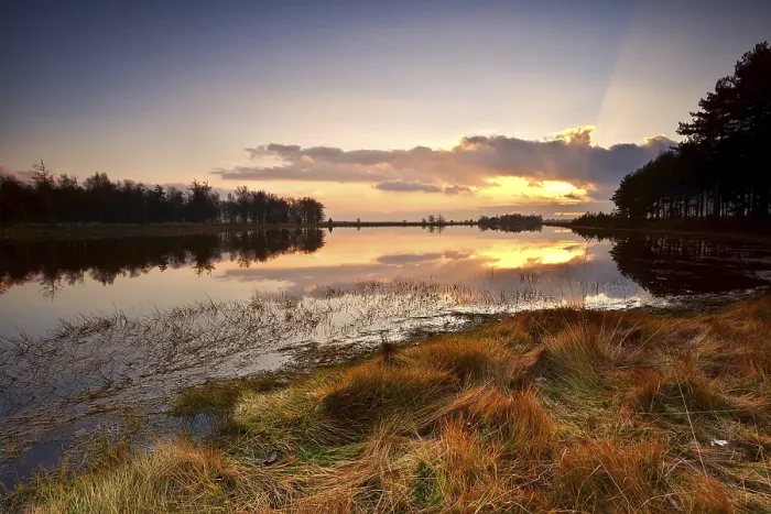 Framed Print : Dramatic Sunset Print over Dwingelderveld Lake, Drenthe Framed Print : Dramatic Sunset Print over Dwingelderveld Lake, Drenthe