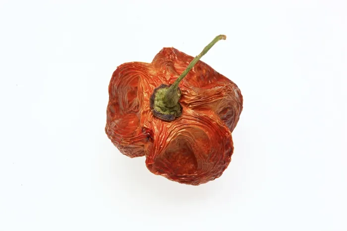 Framed Print : Dried Chilli Fruit Print Framed Print : Dried Chilli Fruit Print