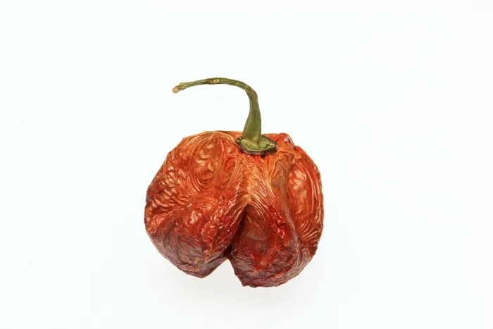 Framed Print : Dried Chilli Fruit Print Framed Print : Dried Chilli Fruit Print