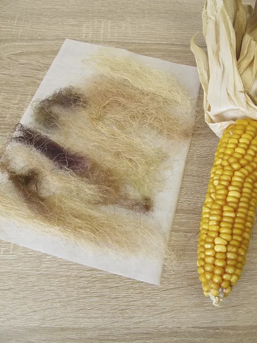Framed Print : Dried Corn Beard, Maydis Stigma Print