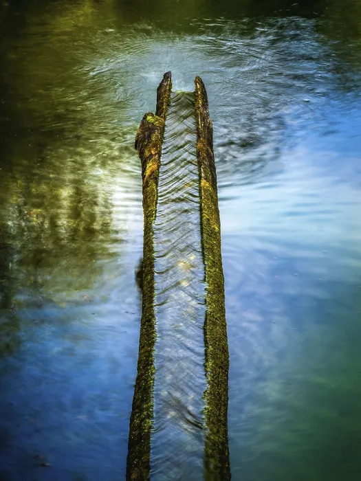 Framed Print : Drinking Water Spring Print Framed Print : Drinking Water Spring Print