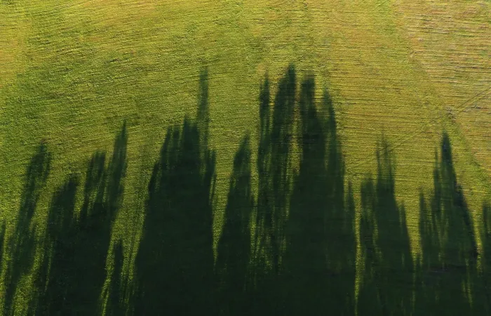 Framed Print : Drone Image: Tree Shadows on Mondseeland Meadow Print Framed Print : Drone Image: Tree Shadows on Mondseeland Meadow Print