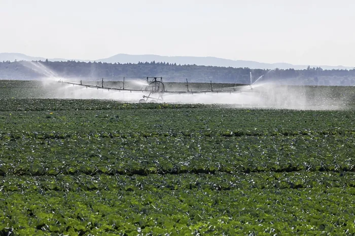 Framed Print : Dryness in Fields: A Problem for Farmers and Growers - Print Framed Print : Dryness in Fields: A Problem for Farmers and Growers - Print
