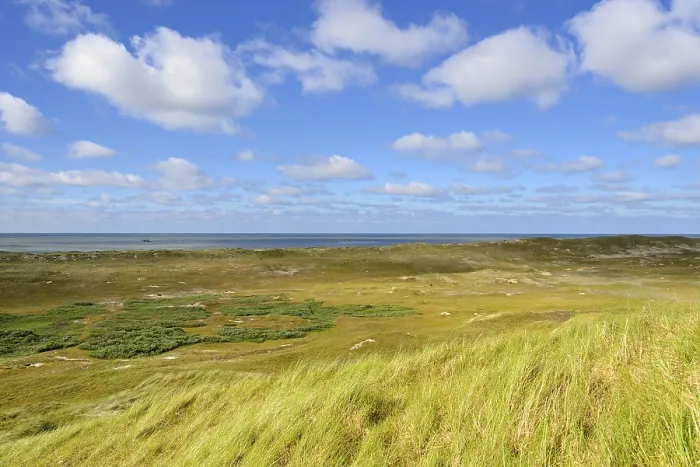 Framed Print : Dune Landscape with Blue Clouds Print, Norderney Germany Framed Print : Dune Landscape with Blue Clouds Print, Norderney Germany