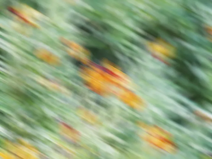 Framed Print : Vibrant Blurred Background Print Framed Print : Vibrant Blurred Background Print