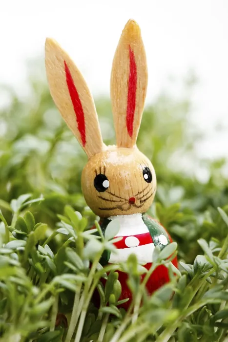 Framed Print : Easter Bunny Print Framed Print : Easter Bunny Print