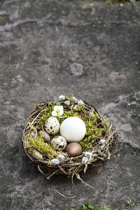 Framed Print : Easter Nest Print on Grey Background Framed Print : Easter Nest Print on Grey Background