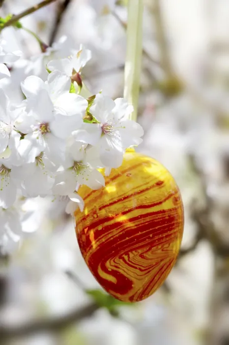 Framed Print : Easter Egg and Cherry Blossoms Print Framed Print : Easter Egg and Cherry Blossoms Print
