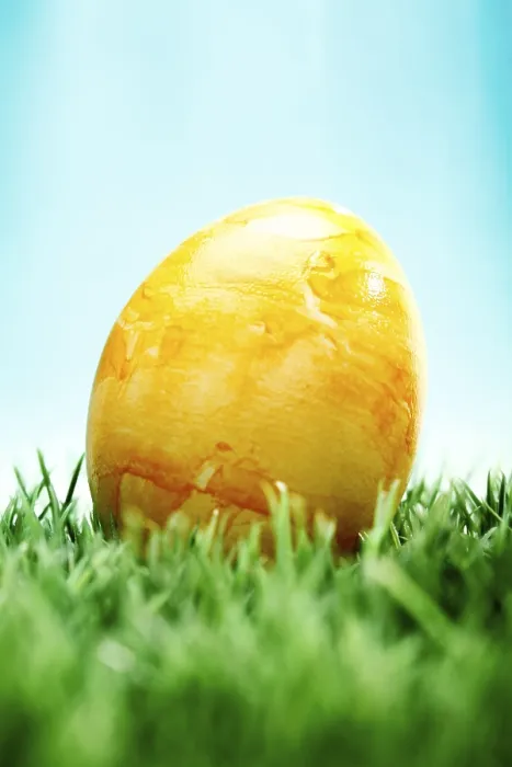 Framed Print : Easter Egg on a Lawn Print Framed Print : Easter Egg on a Lawn Print