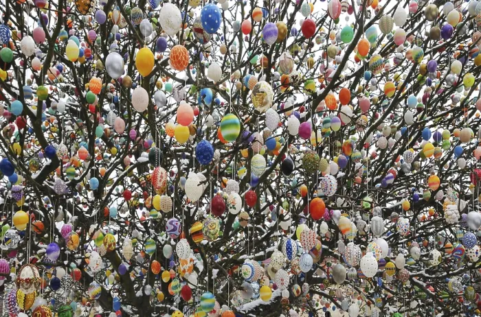 Framed Print : Easter Egg Tree Print, Germany Framed Print : Easter Egg Tree Print, Germany