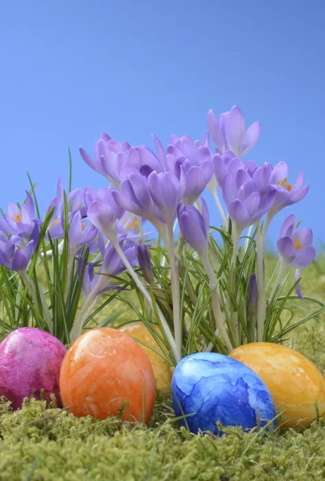 Framed Print : Traditional Easter Egg Print with Crocuses in a Meadow Framed Print : Traditional Easter Egg Print with Crocuses in a Meadow