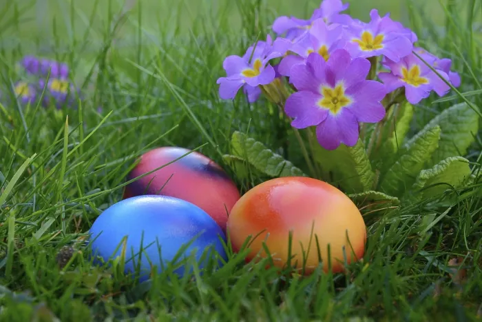 Framed Print : Easter Eggs in German Meadow Print Framed Print : Easter Eggs in German Meadow Print