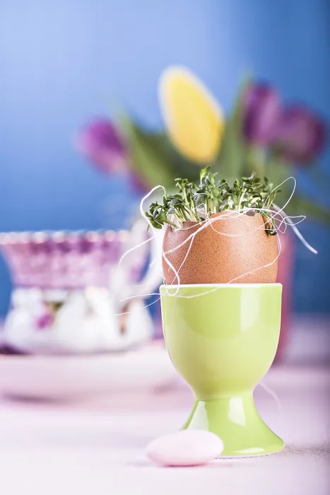 Framed Print : The Easter Installation with Eggs and Plants Print Framed Print : The Easter Installation with Eggs and Plants Print