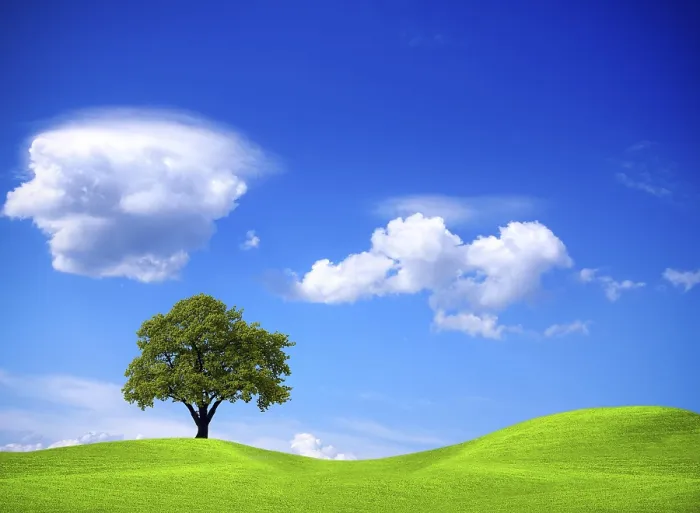 Framed Print : Ecology and Environment Print Framed Print : Ecology and Environment Print