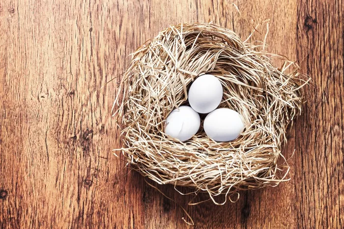 Framed Print : Easter Eggs in a Nest Print Framed Print : Easter Eggs in a Nest Print