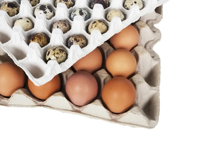Framed Print : Eggs in a Package Print Framed Print : Eggs in a Package Print
