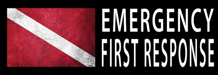 Framed Print : Emergency First Response Print: Diver Down Flag Framed Print : Emergency First Response Print: Diver Down Flag