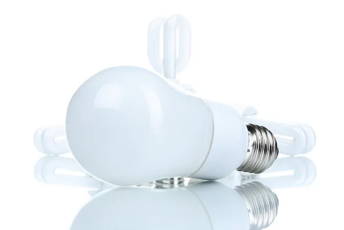 Framed Print : Energy Saving Bulb Print Framed Print : Energy Saving Bulb Print