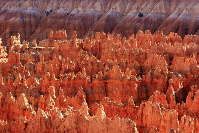 Framed Print : Bryce Canyon Red Rocks Evening Print