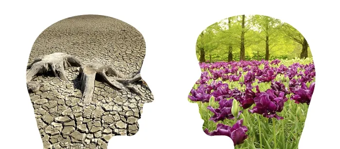 Framed Print : Climate Change Print: Desert vs. Bloom
