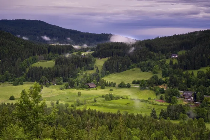Framed Print : Evening Landscape Print, Black Forest, Germany Framed Print : Evening Landscape Print, Black Forest, Germany