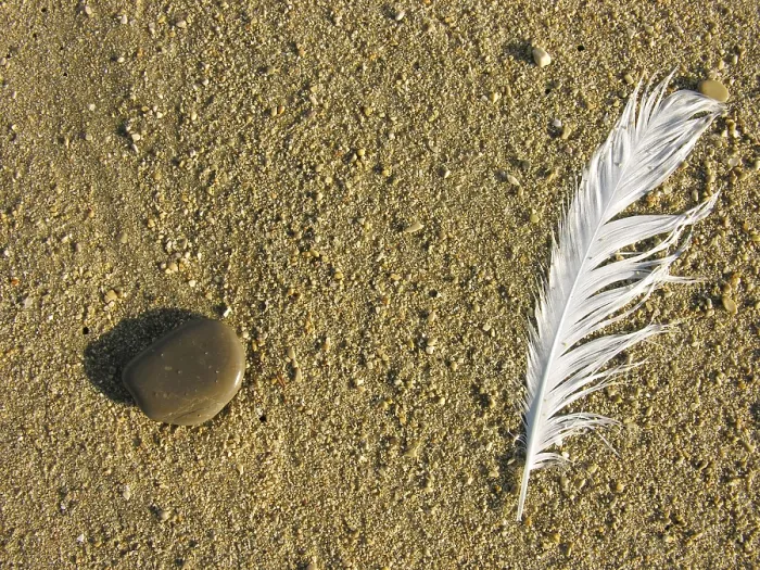 Framed Print : Feather and Stone in Sand Print Framed Print : Feather and Stone in Sand Print