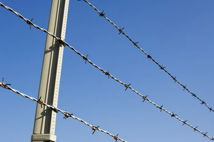 Framed Print : Fence Fence Print by ImageBROKER