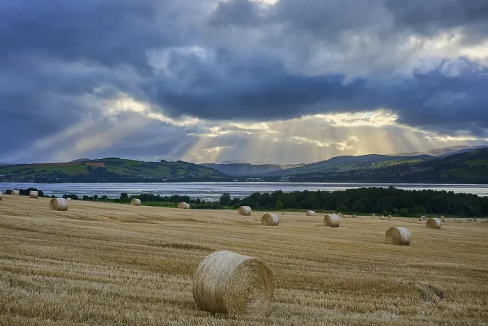 Framed Print : Field with Bales of Straw Print, Dingwall, Scotland Framed Print : Field with Bales of Straw Print, Dingwall, Scotland