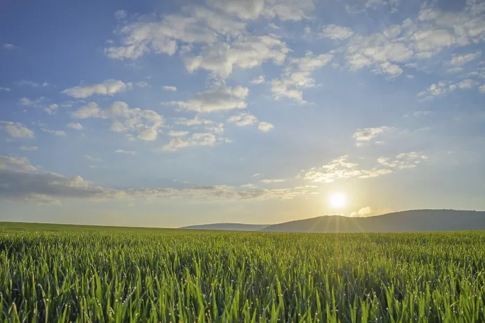 Framed Print : Field Landscape with Sun in Spring Print Framed Print : Field Landscape with Sun in Spring Print