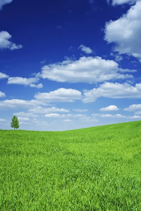 Framed Print : Field and Sky Print Framed Print : Field and Sky Print