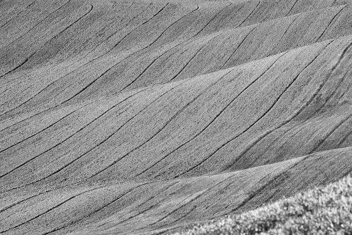 Framed Print : Tuscany Field Print Framed Print : Tuscany Field Print