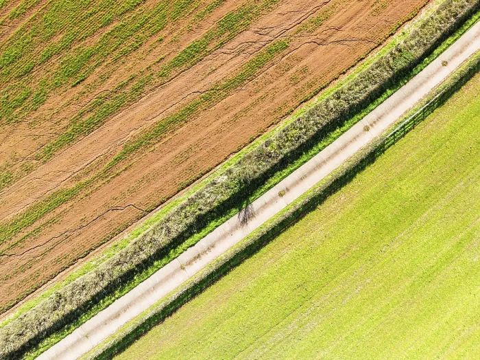 Framed Print : Devon, England Print - Top Down Drone View Framed Print : Devon, England Print - Top Down Drone View