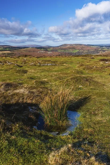 Framed Print : Fields and meadows in Haytor Rocks, Dartmoor Park Print Framed Print : Fields and meadows in Haytor Rocks, Dartmoor Park Print