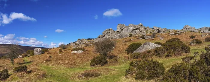 Framed Print : Haytor Rocks Fields and Meadows Print, Devon, England