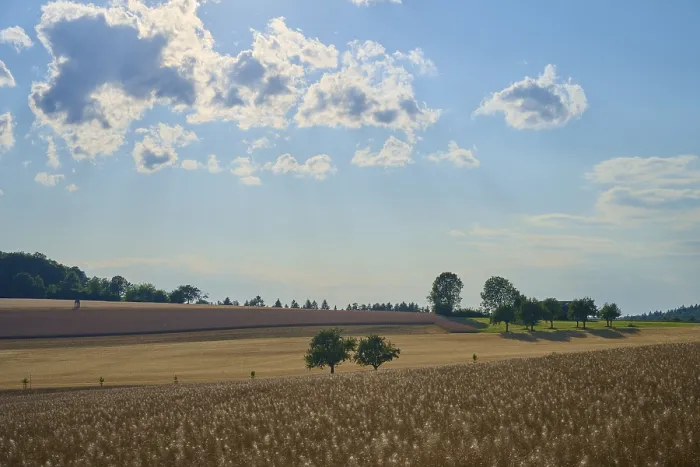 Framed Print : Fields and Trees under Cloudy Sky, Reichartshausen Print Framed Print : Fields and Trees under Cloudy Sky, Reichartshausen Print