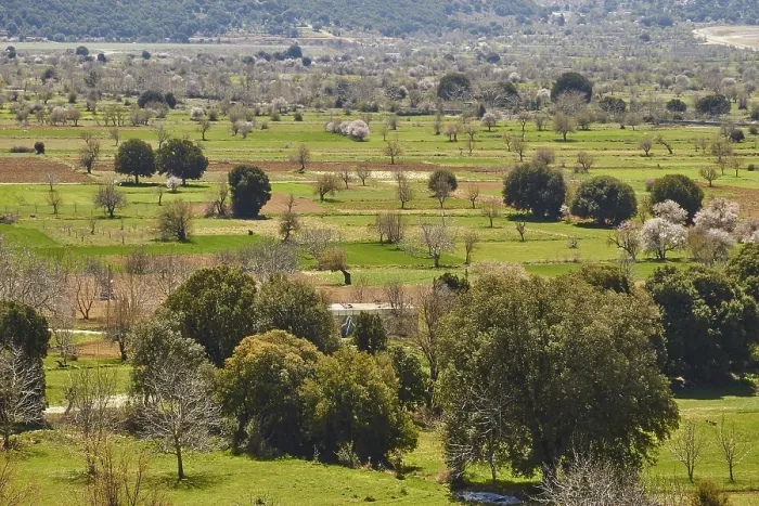 Framed Print : Lassithi Plateau Spring Landscape Print, East Crete, Greece Framed Print : Lassithi Plateau Spring Landscape Print, East Crete, Greece