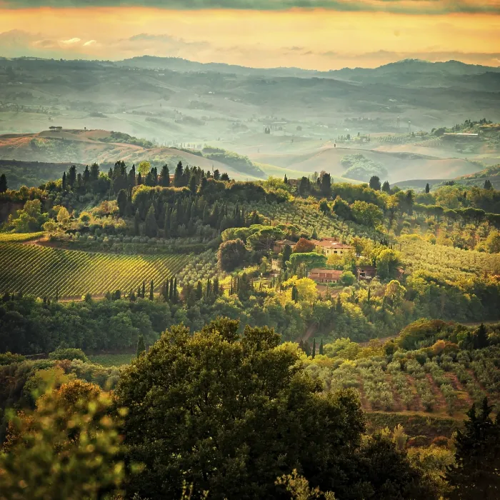 Framed Print : Fields in Tuscany Print Framed Print : Fields in Tuscany Print