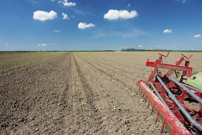 Framed Print : Vegetable Fields with Planting Machine Print Framed Print : Vegetable Fields with Planting Machine Print