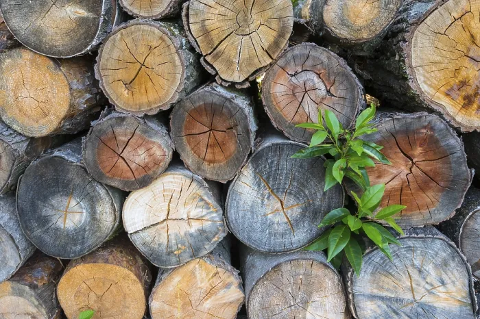Framed Print : Stacked Firewood Print Framed Print : Stacked Firewood Print