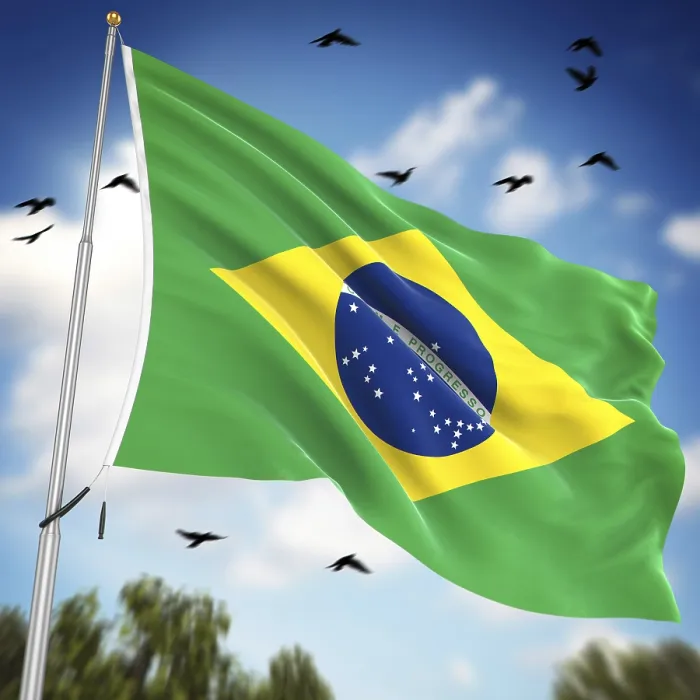Framed Print : Computer Generated 3D Rendered Flag of Brazil Print Framed Print : Computer Generated 3D Rendered Flag of Brazil Print