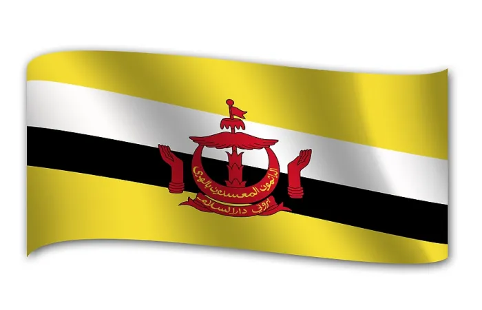 Framed Print : Flag of Brunei Print Framed Print : Flag of Brunei Print